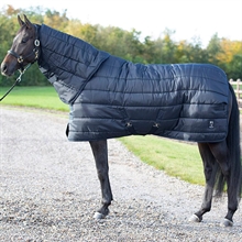 Kingsland Classic Primary Stalldecke mit Hals 500gram